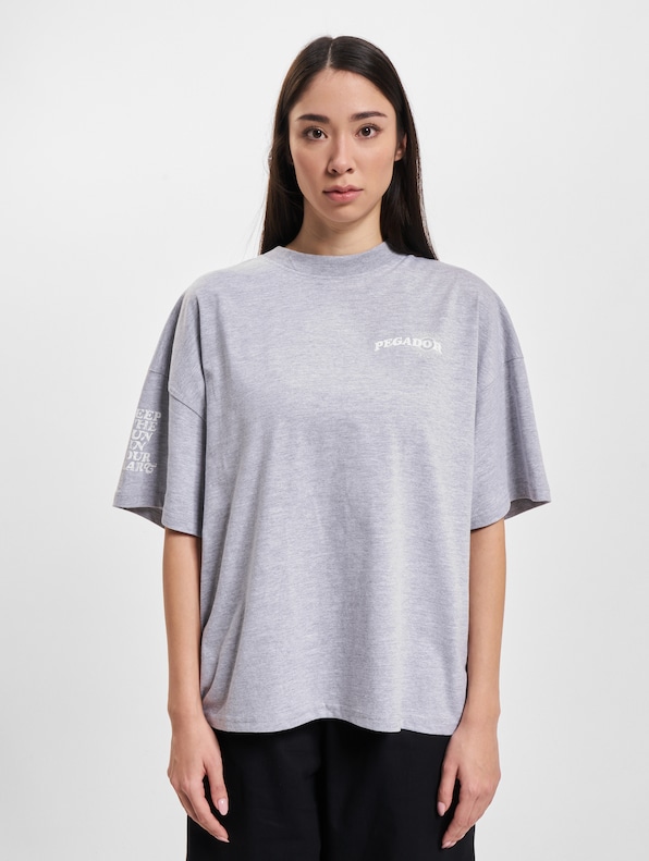 Pegador Pall Heavy Oversized T-Shirt-2