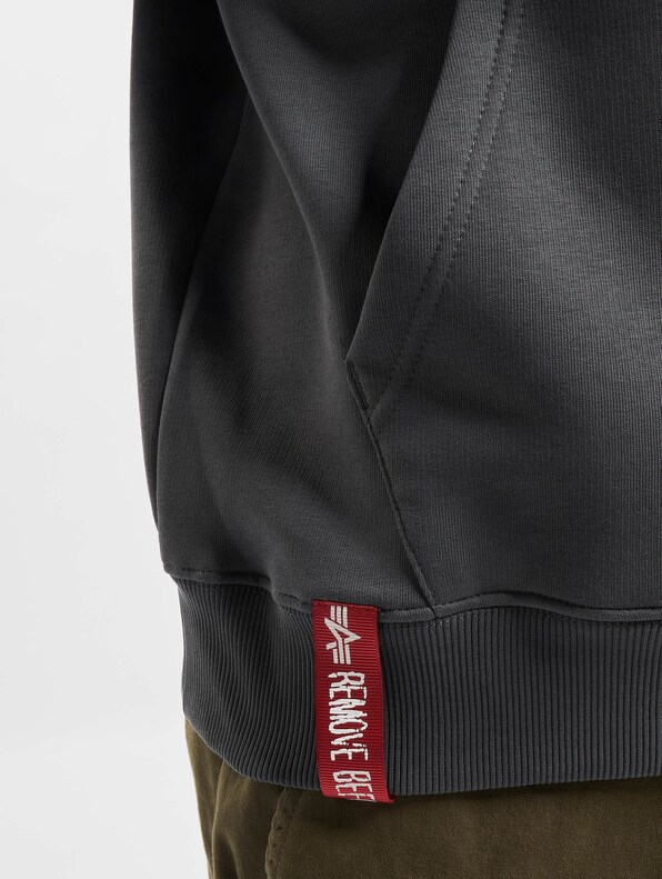 Alpha Industries Basic Hoodies-3