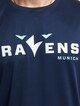 Ravens 5-6