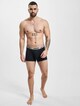 Trunk 2 Pack-6
