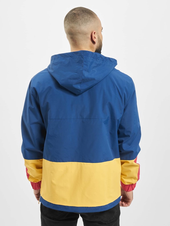 Multicolored Logo-1