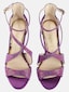 violet_143762