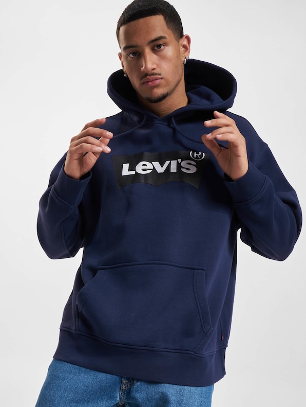 Levis T3 Relaxd Graphic Hoodie-0