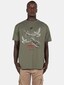 olive_106279