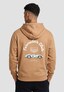 brown_179636