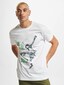 white_17936