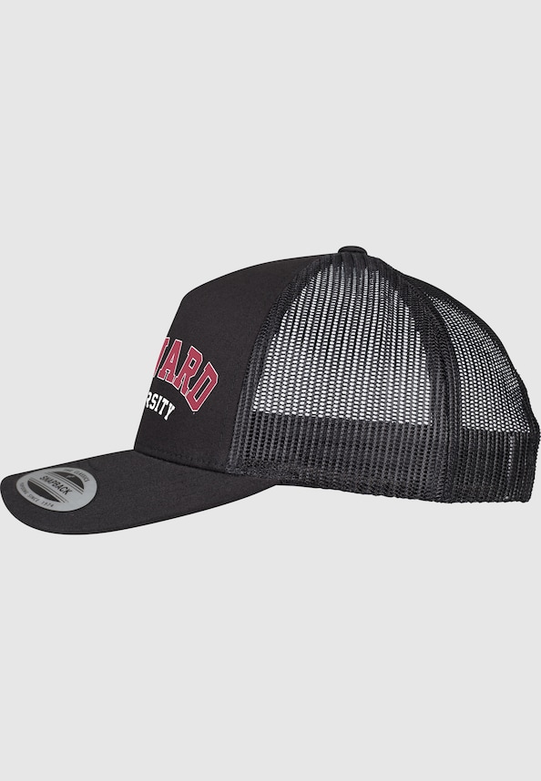 Harvard University-3