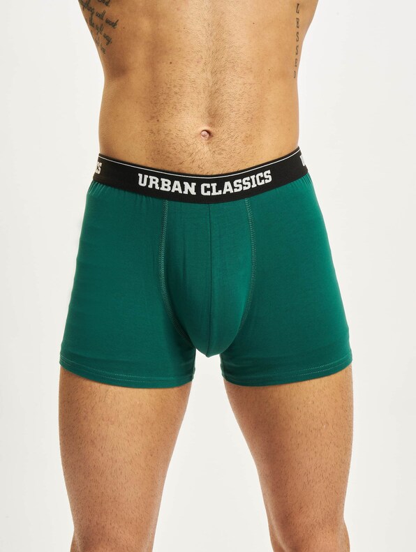 Organic Boxer Shorts 5-Pack-13