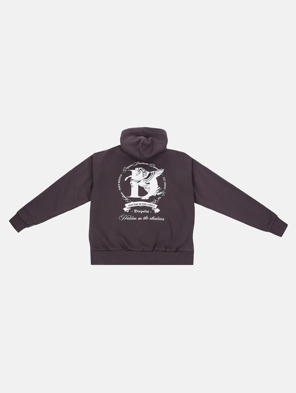 HEAVY OVERSIZE PEGASUS -1
