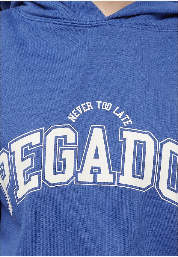 Wayruna Oversized Hoodie-2