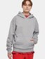 grey_4815