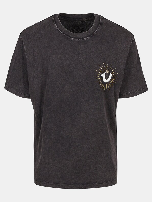 True Religion MINERAL SHINING CREST TEE-3