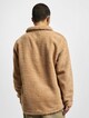 Dpteddy -1