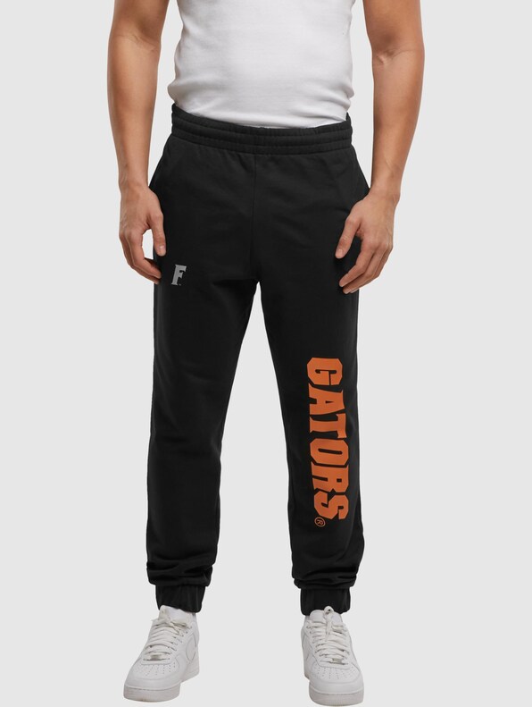 Florida Gators Multi Logo-2