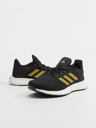 Pureboost 21