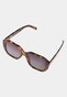 brown_75650