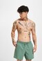green_133719