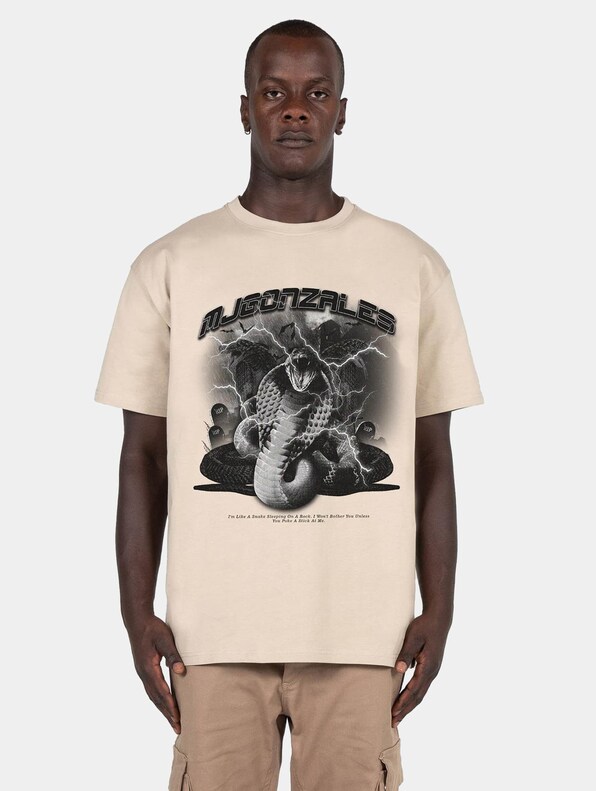 Toxic V.1 Heavy Oversized 2.0 -0