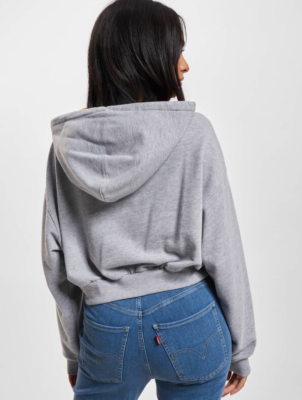 Levis Graphic Laundry Hoodie-1