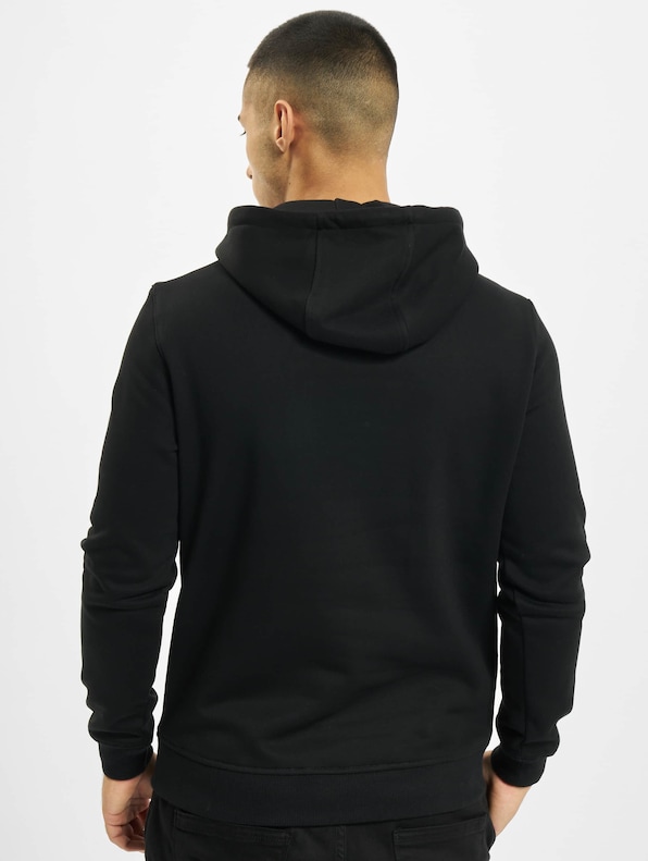 Guns n' Roses Logo Hoody-1