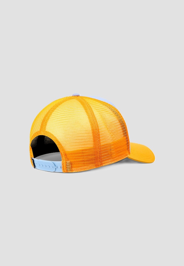 Skaterboy-1