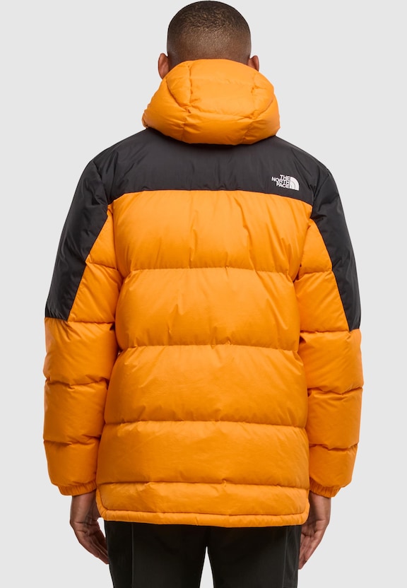 The North Face Diablo Down Weste-1