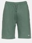 green_130290