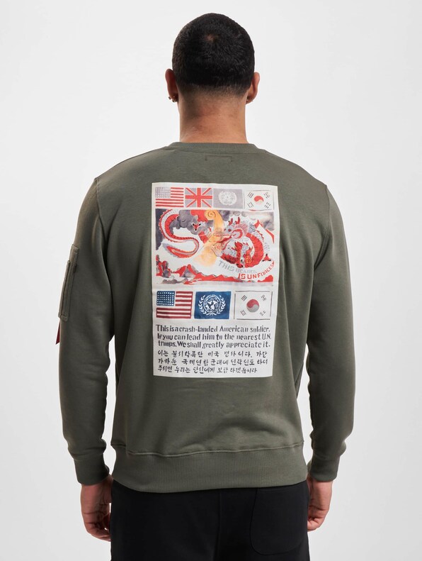 Alpha Industries USN Blood Chit Hoody Dark-1
