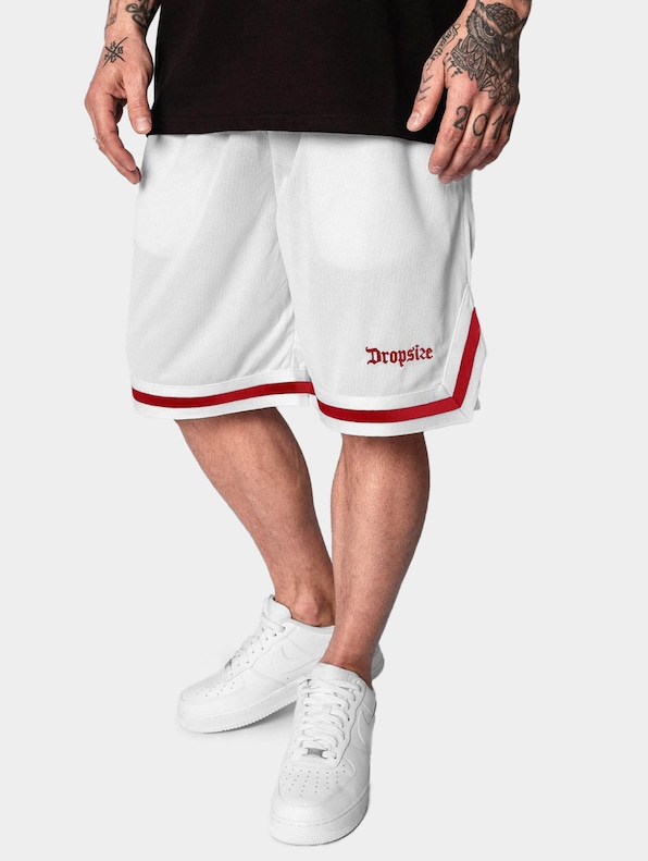 Logo Mesh -1