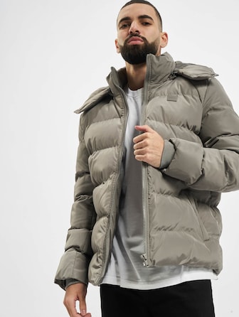 Hooded Puffer
