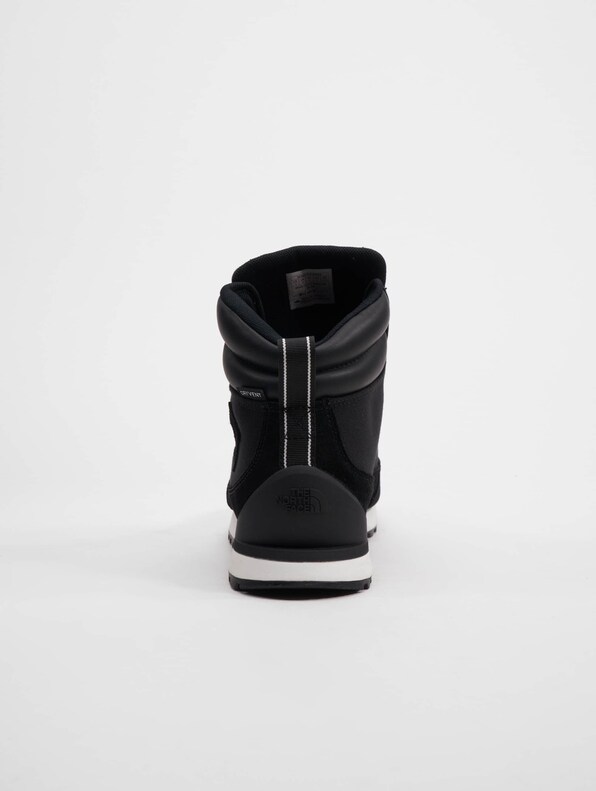 Back-To-Berkeley IV-5