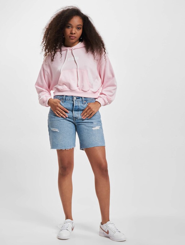 Levis Graphic Laundry Hoodie-5