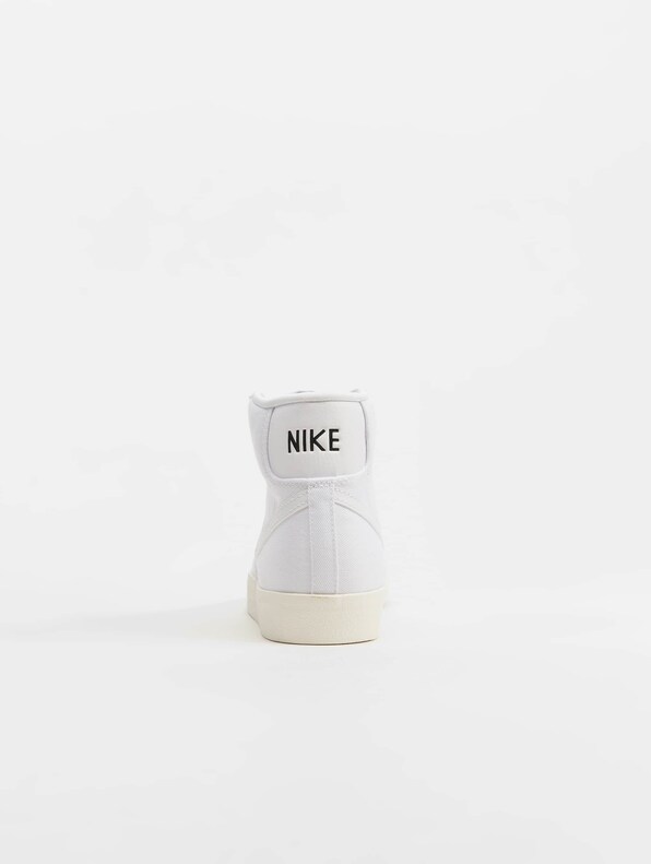 Blazer Mid '77 Cnvs-5
