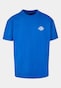 blue_31452
