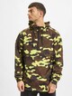 Camo-2
