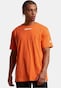 orange_155985
