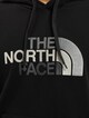 The North Face Drew Peak Hoodie-4