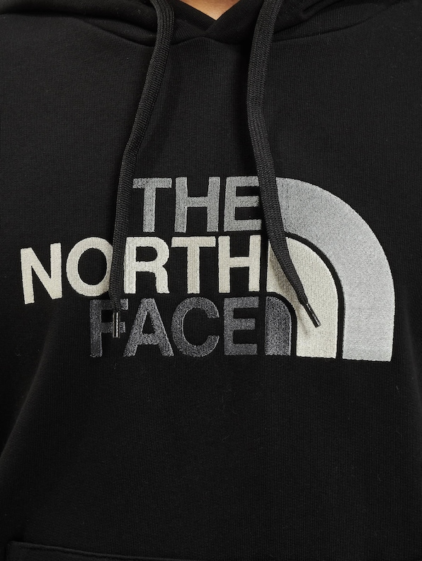 The North Face Drew Peak Hoodie-4