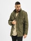 olive_38314