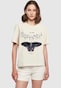 white_155764
