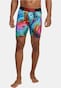 multicolor_153157