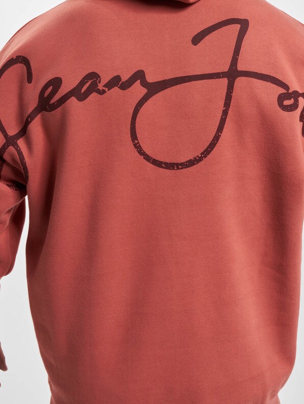 JM233-002-2 SJ Script Logo Backprint Peached Hoodie-5