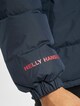 Urban Reversible-4