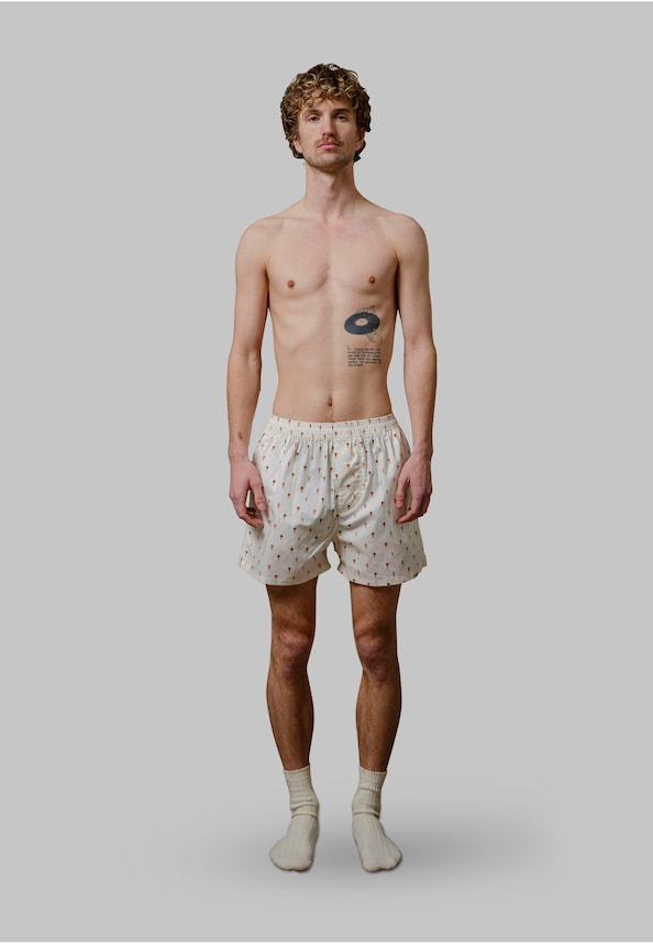 Icecream Boxers-1