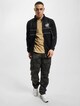 King Puma -6