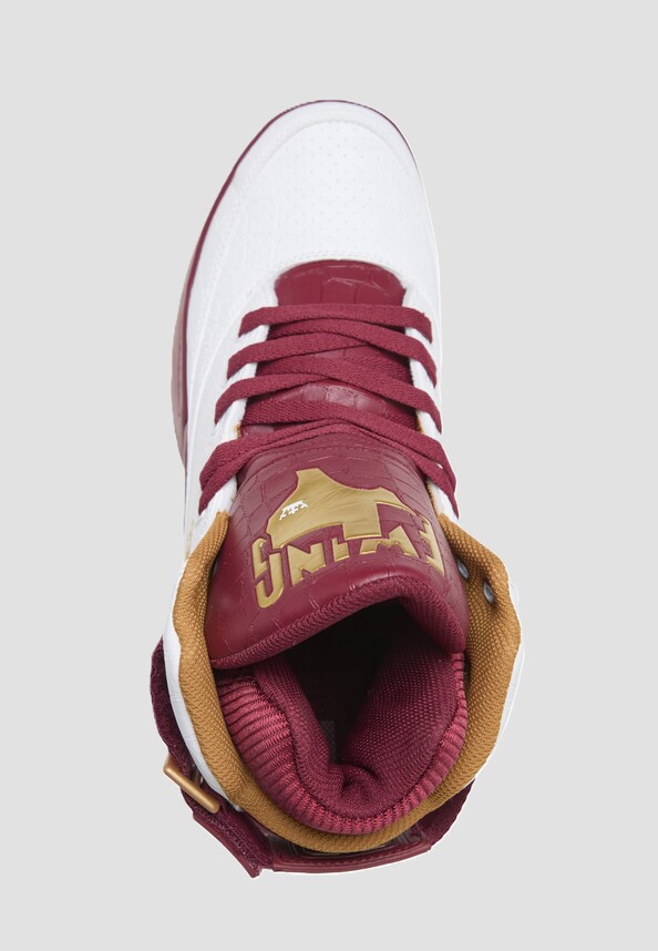 33 HI x PIMP C UGK-2