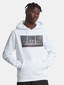 white_133637