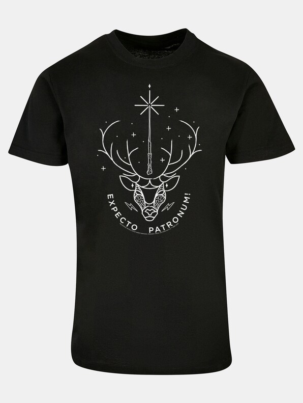 Harry Potter - Expecto Patronum Basic-2