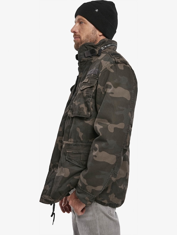 M65 Giant Winter-3