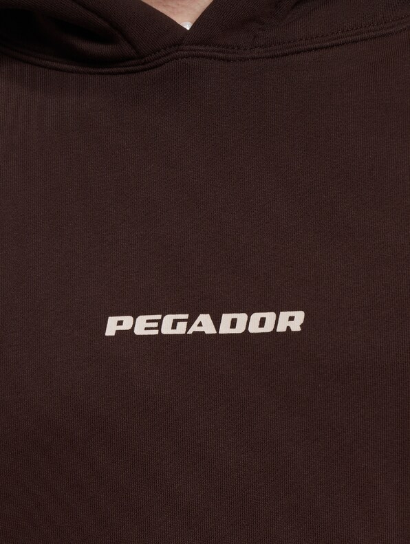 PEGADOR Colne Logo Oversized Hoodies-2